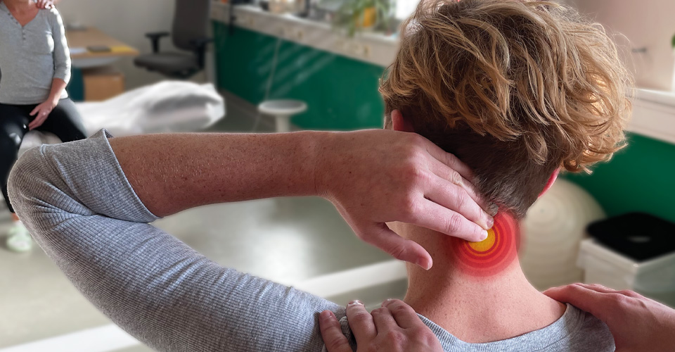 KRČNÁ CHRBTICA: HLAVNÉ JE NEZASEKNÚŤ SA.