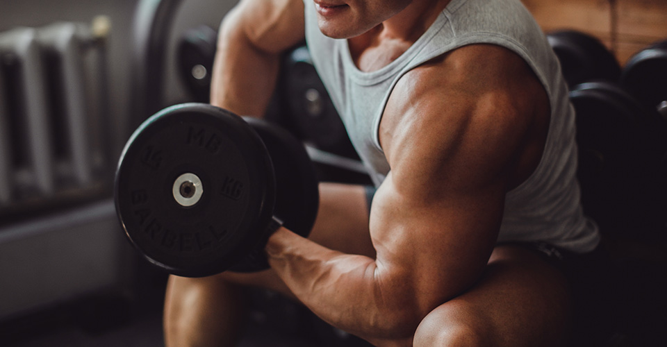 KULTURISTIKA A SILOVÝ TRÉNING