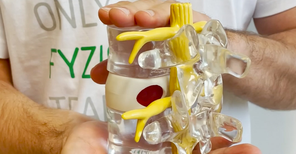 VŠETKO O PLATNIČKÁCH