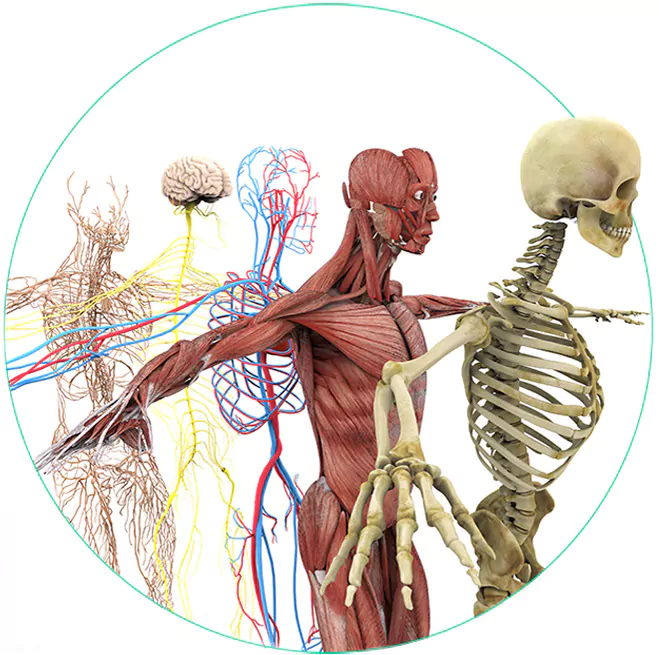 Lekárske ambulancie